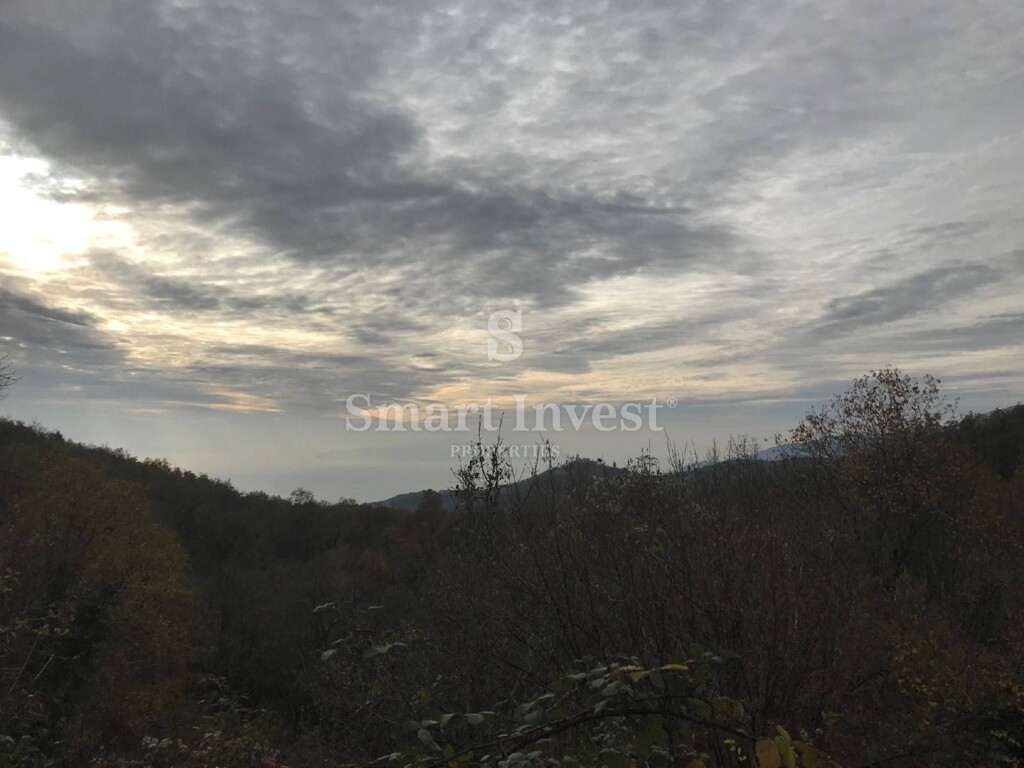 Image 6224609 - 1