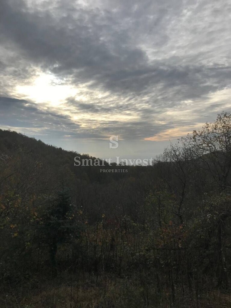Image 6224609 - 5