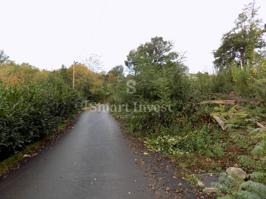 Image 6224611 - 2
