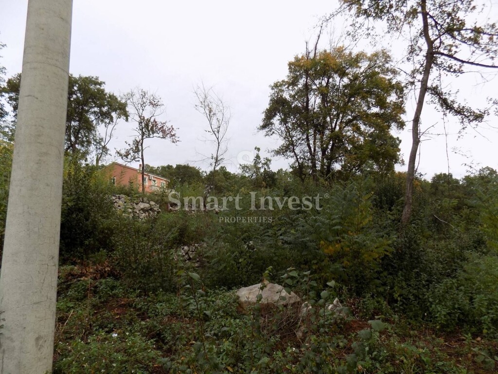 Image 6224611 - 4