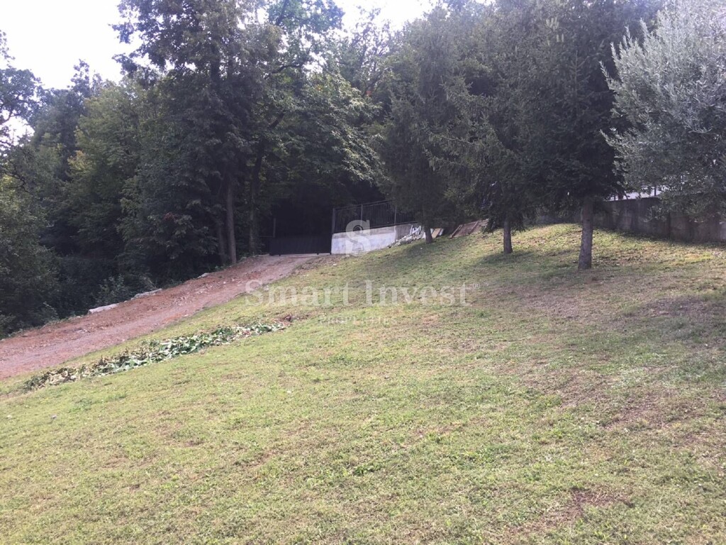 Image 6224620 - 4