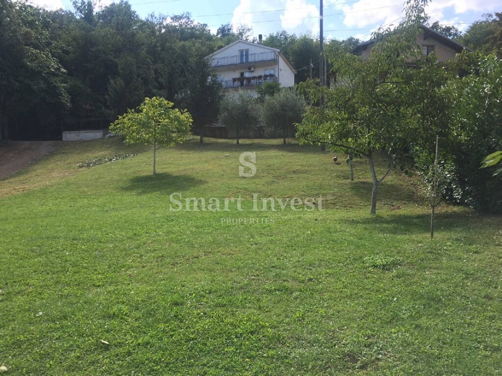 Image 6224620 - 1
