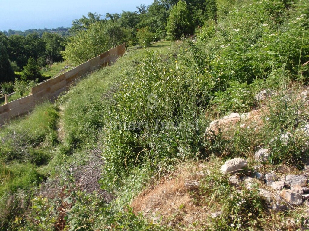 Image 6224623 - 4