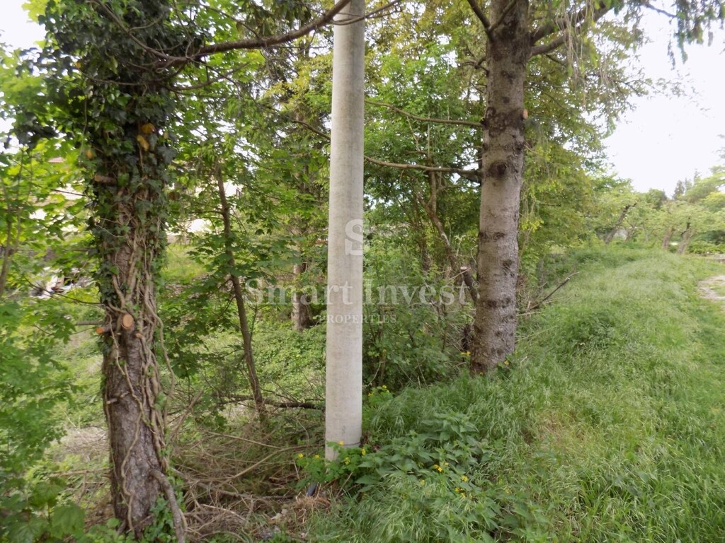 Image 6224629 - 6
