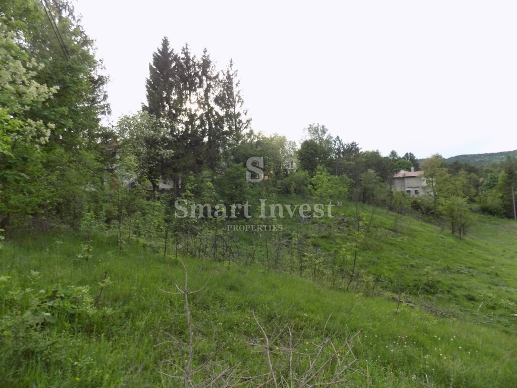 Image 6224629 - 5