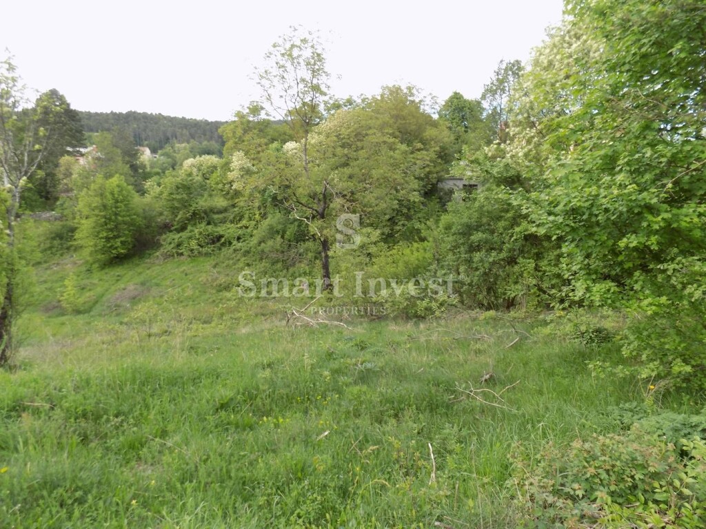 Image 6224629 - 1