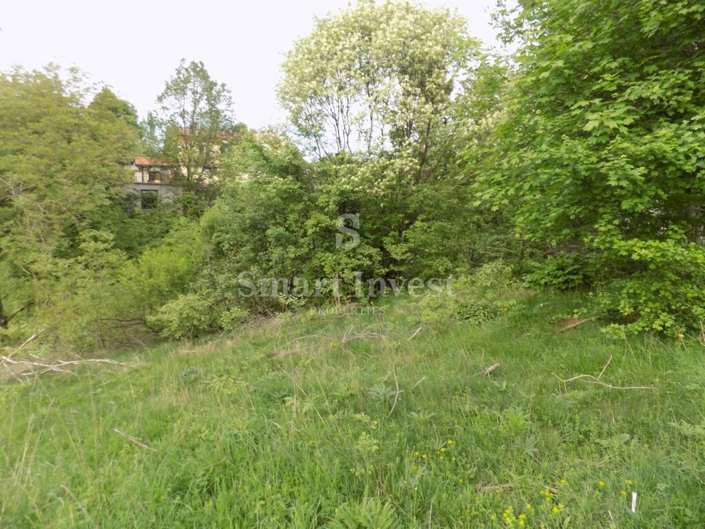 Image 6224629 - 4