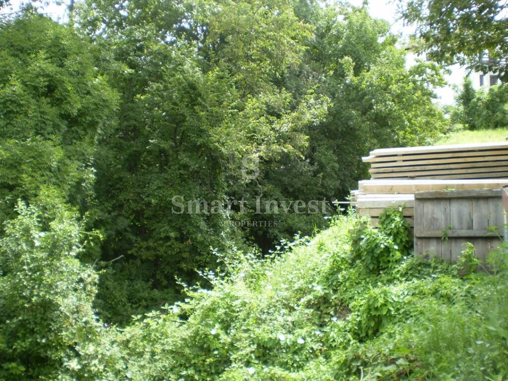 Image 6224630 - 4