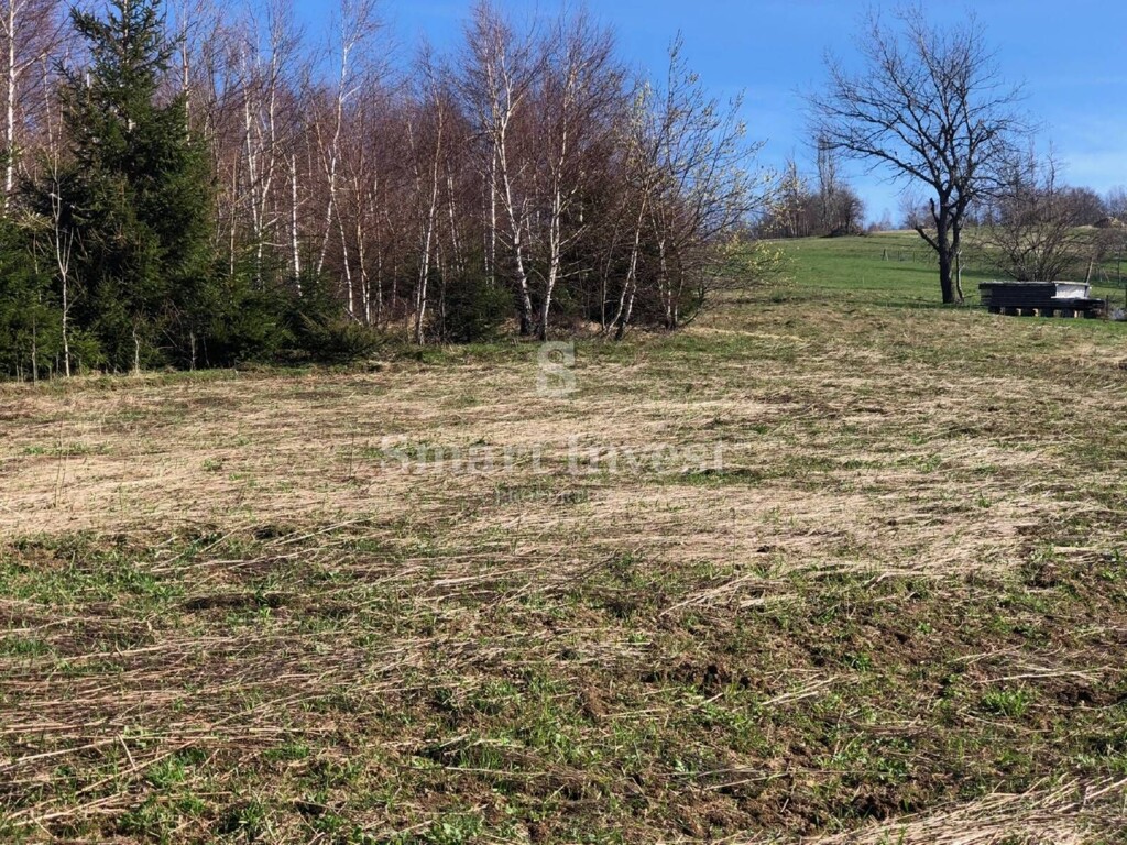 Image 6224635 - 2