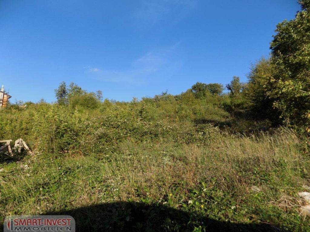 Image 6224639 - 4