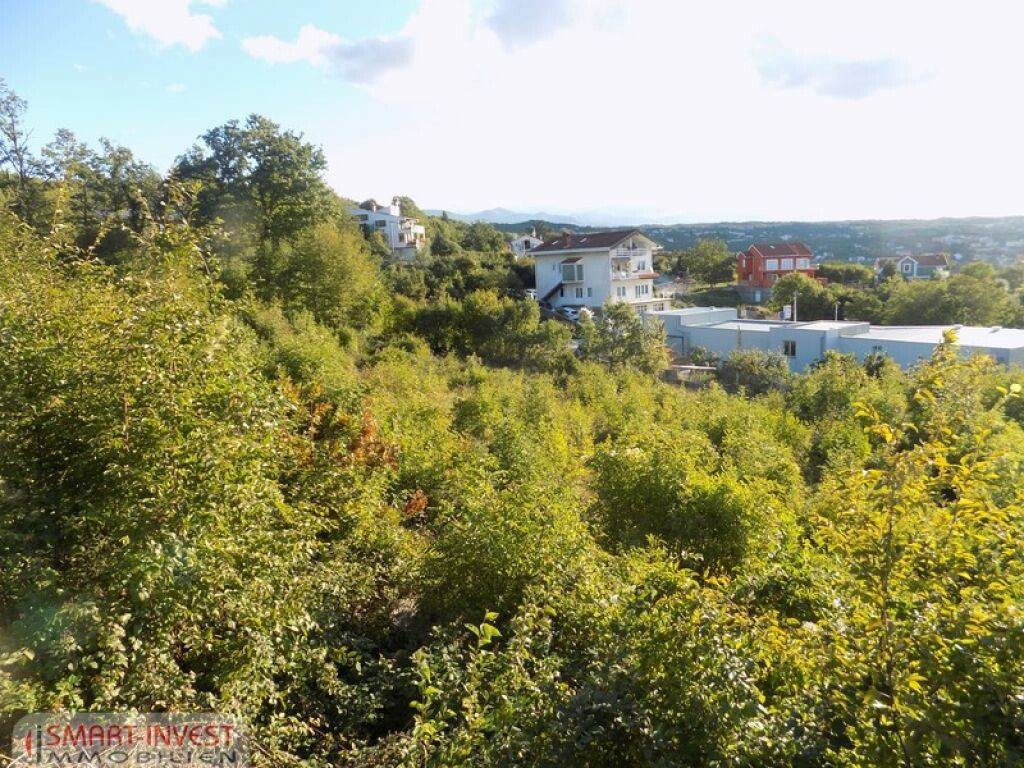 Image 6224639 - 1