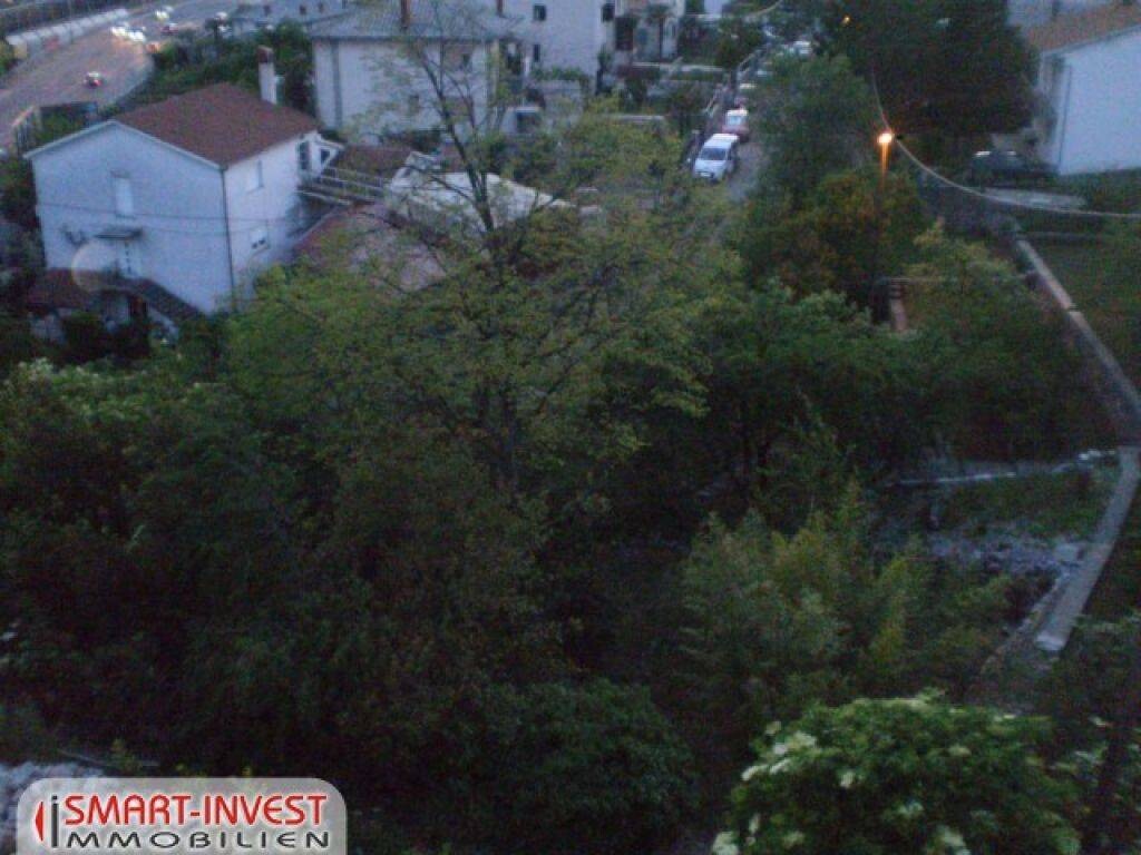 Image 6224645 - 2