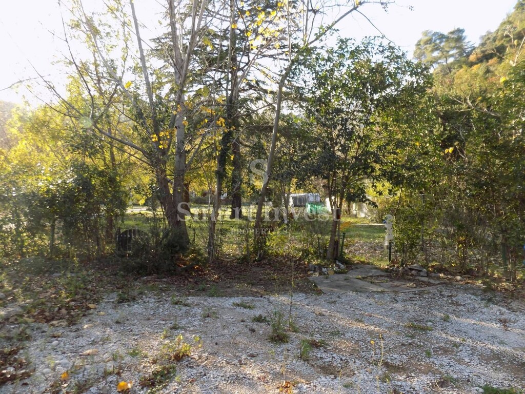Image 6224647 - 1