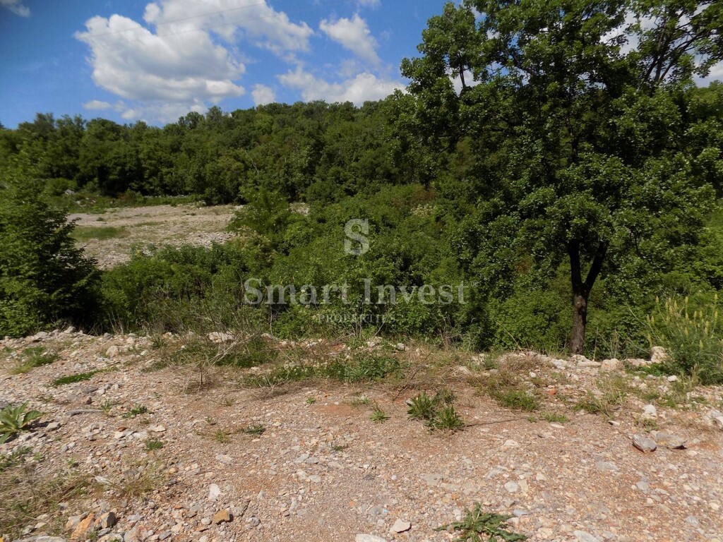 Image 6224648 - 1