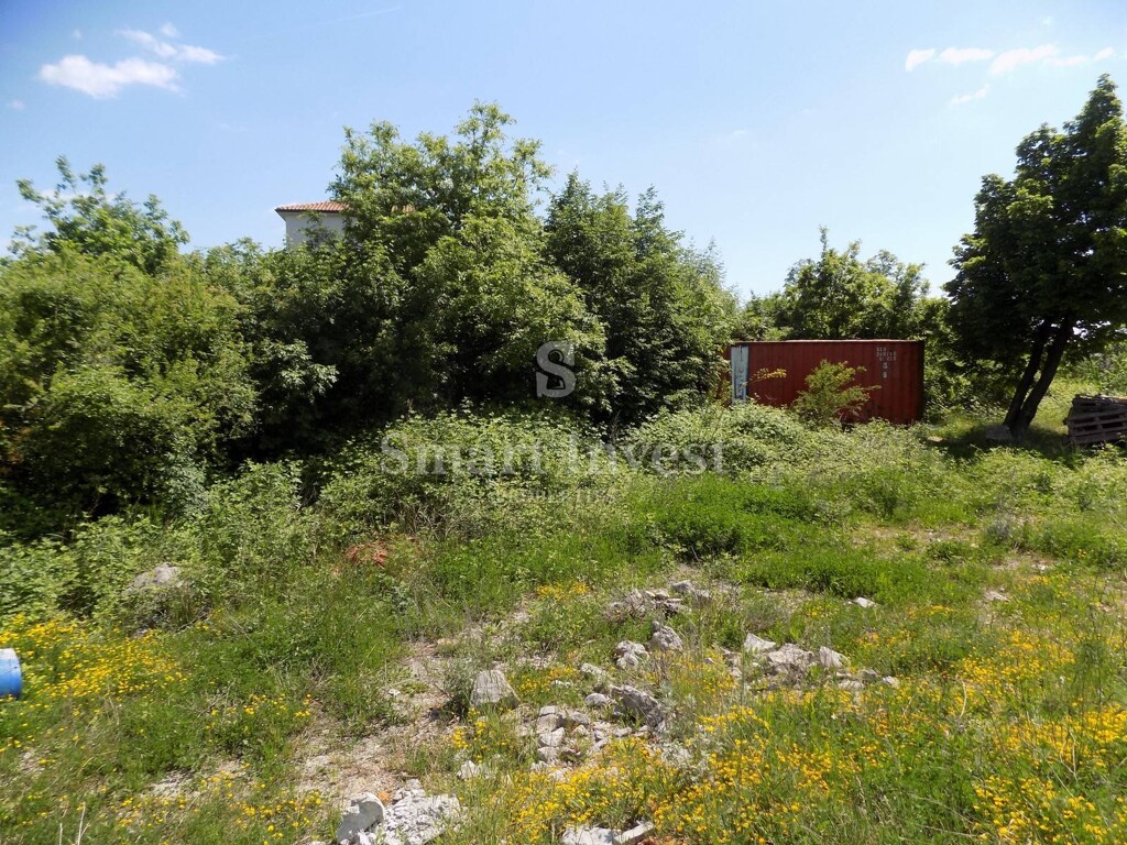 Image 6224649 - 1