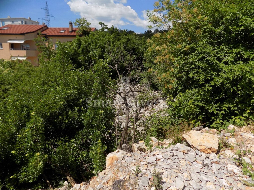 Image 6224649 - 2