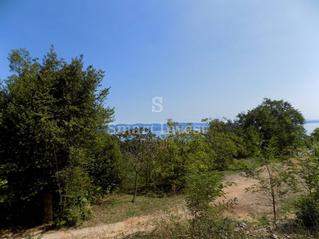 Image 6224653 - 1