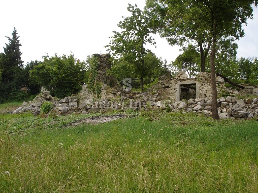 Image 6224654 - 4