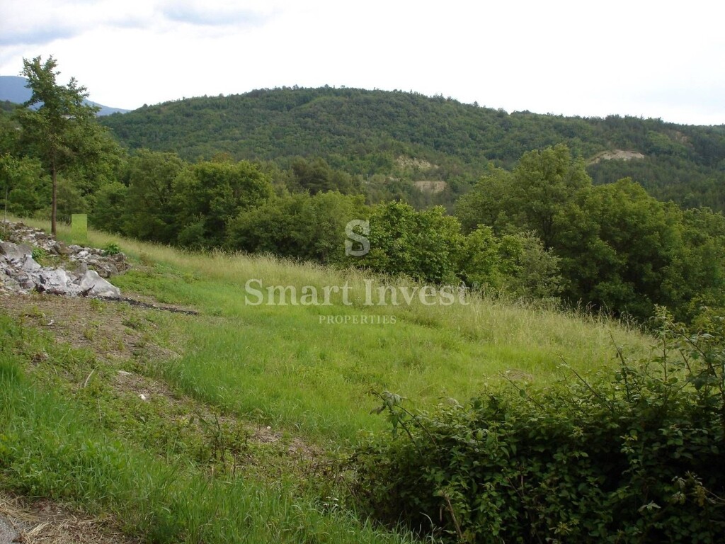 Image 6224654 - 9