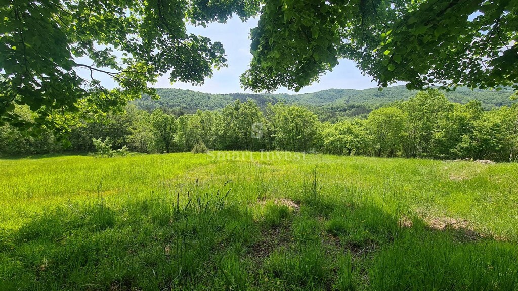 Image 6224654 - 1