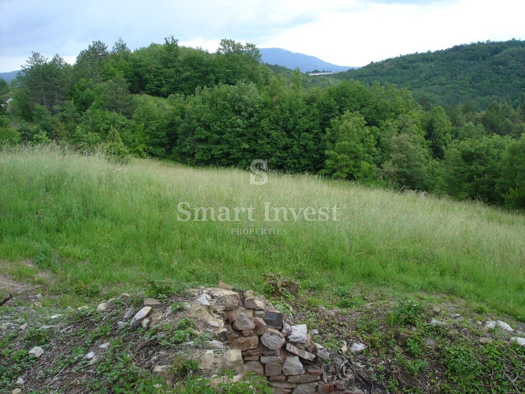 Image 6224654 - 11