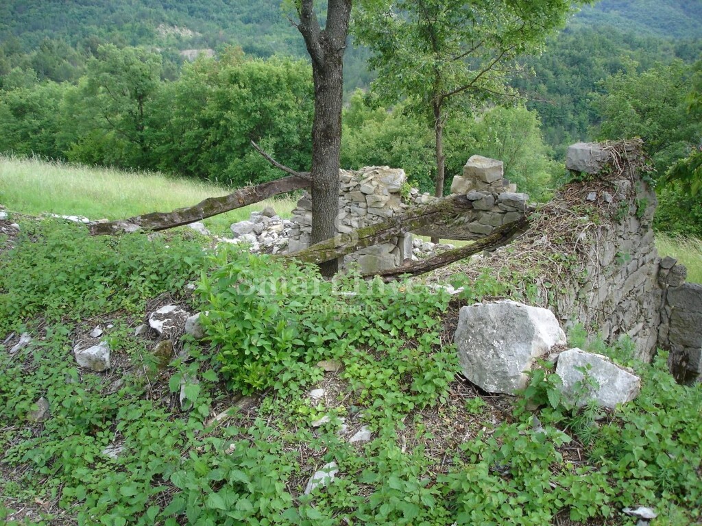 Image 6224654 - 10