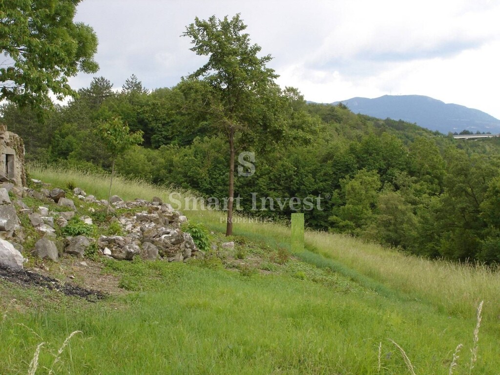 Image 6224654 - 8
