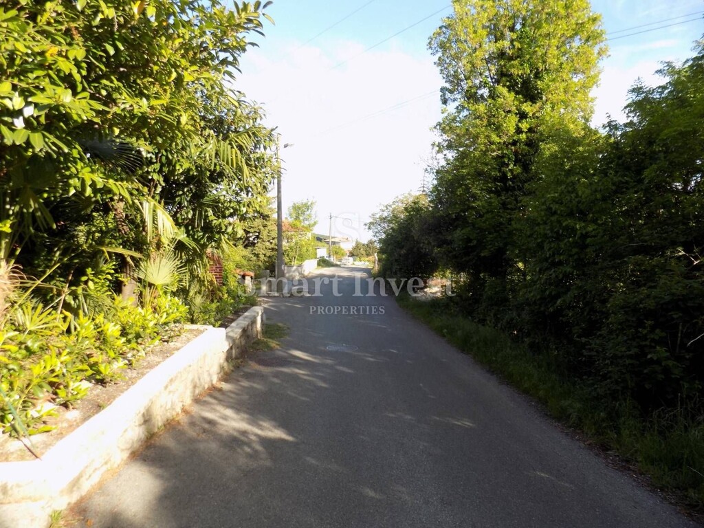 Image 6224655 - 5