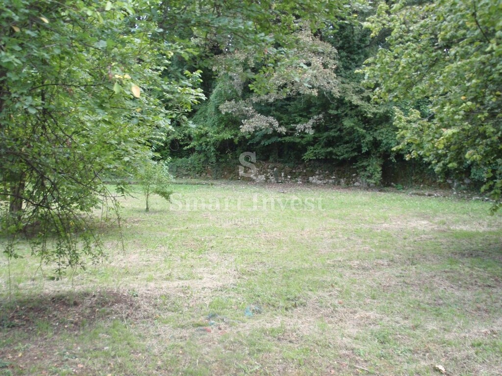 Image 6224658 - 19