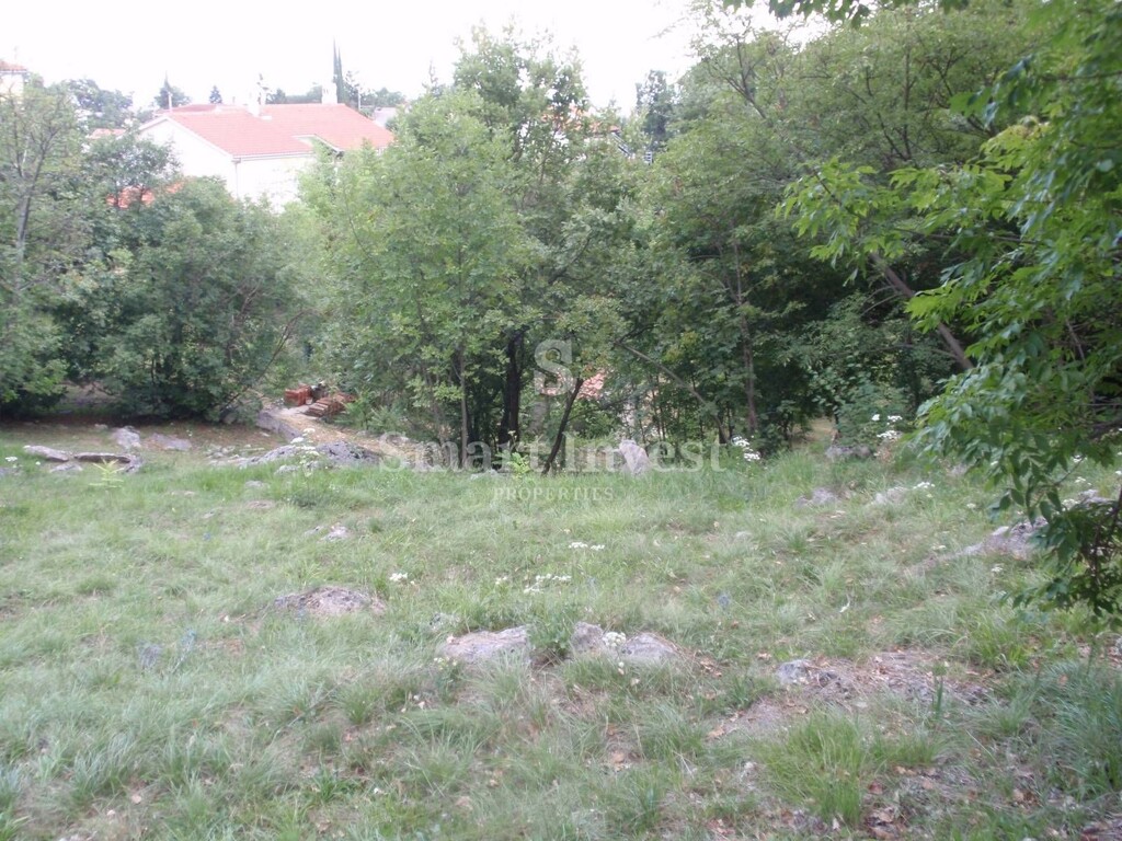 Image 6224658 - 6