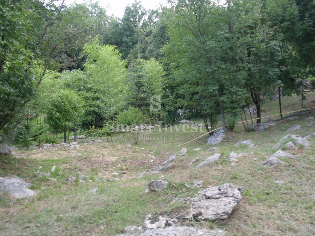 Image 6224658 - 2