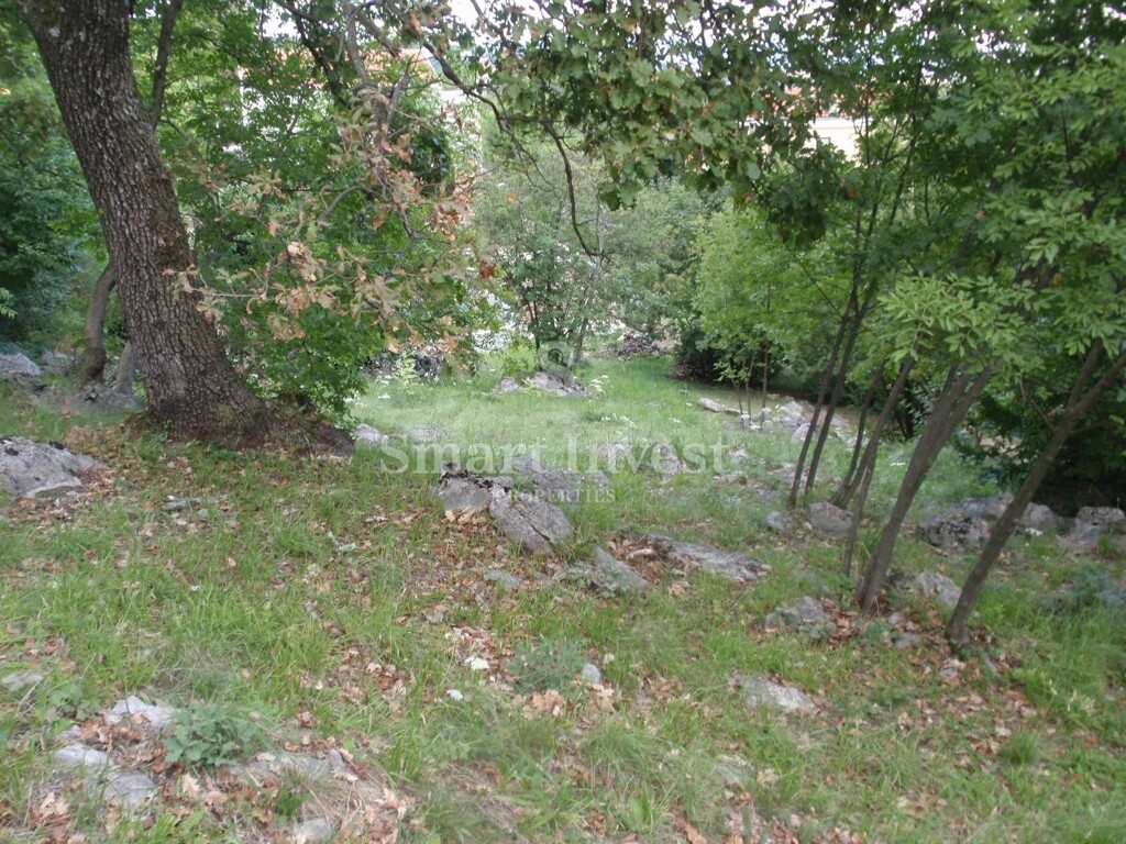 Image 6224658 - 9