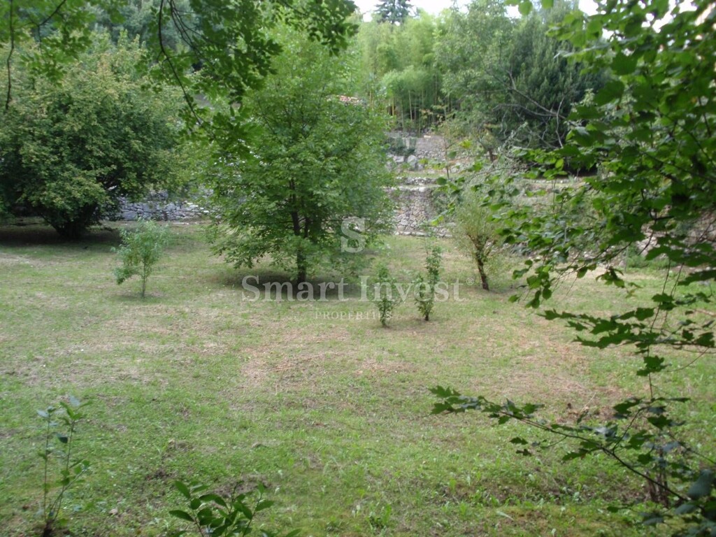 Image 6224658 - 12