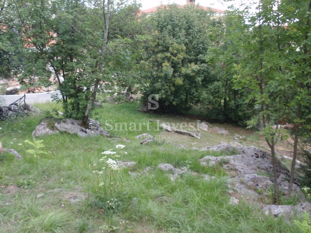Image 6224658 - 5