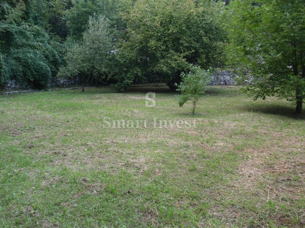 Image 6224658 - 18