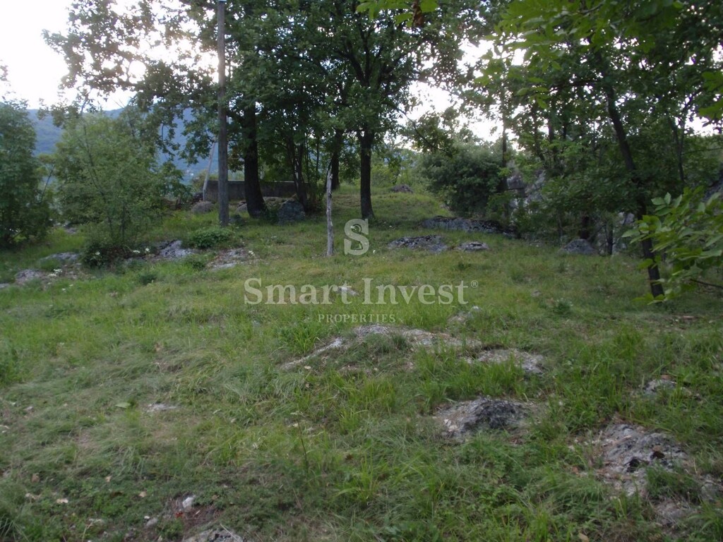 Image 6224658 - 8