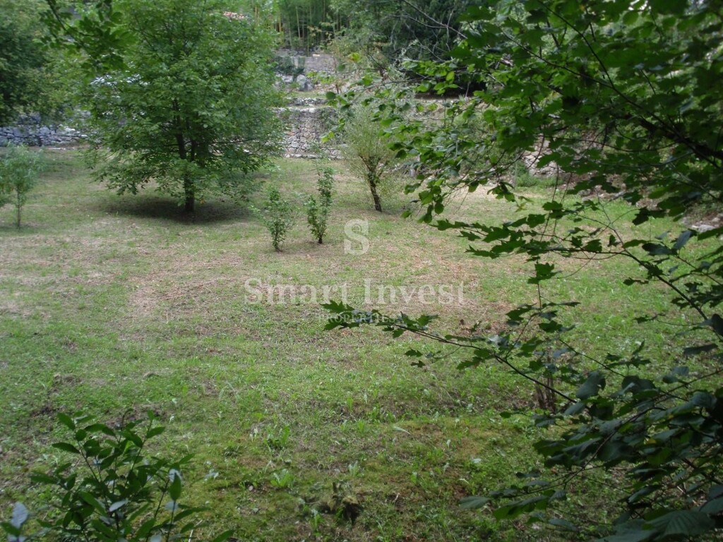 Image 6224658 - 13