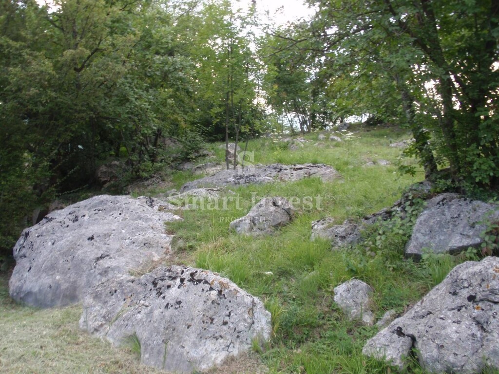 Image 6224658 - 4