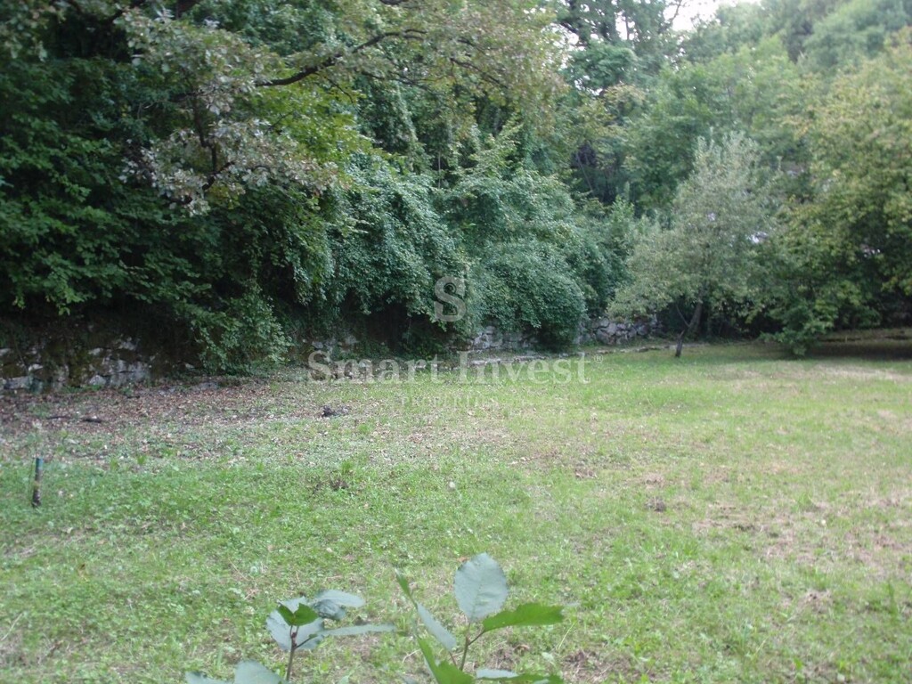Image 6224658 - 16