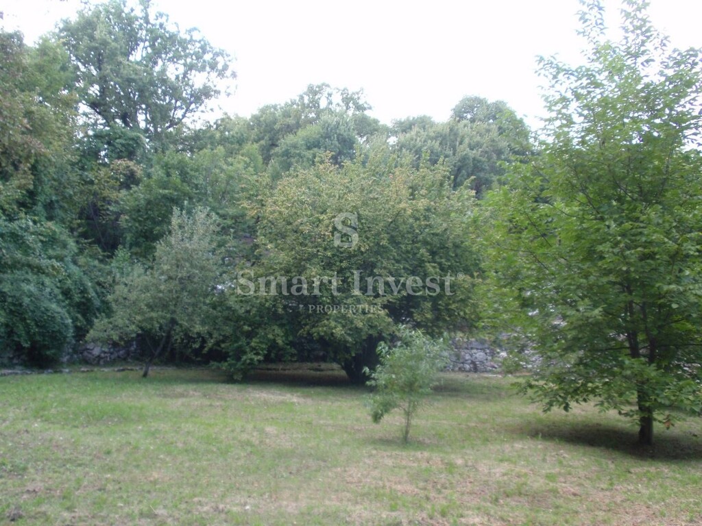 Image 6224658 - 17
