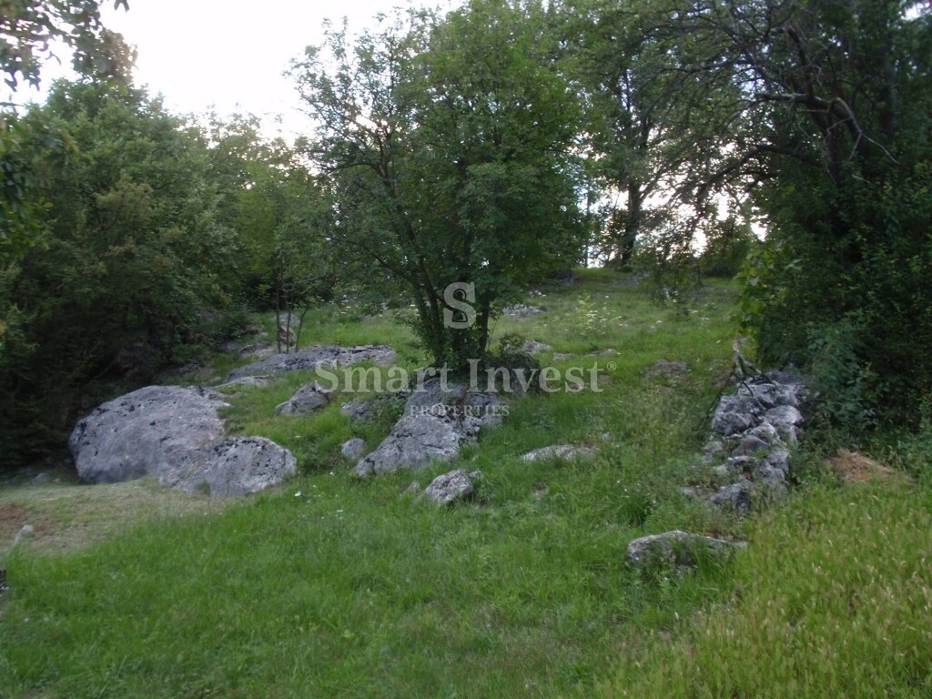 Image 6224658 - 1