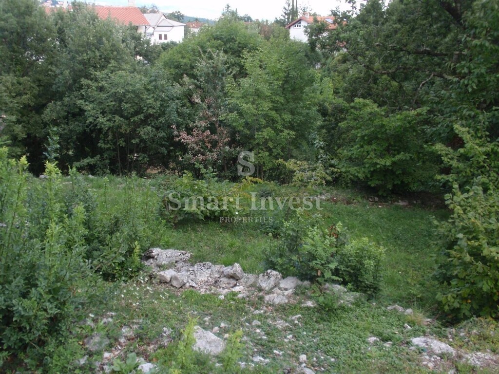 Image 6224658 - 11