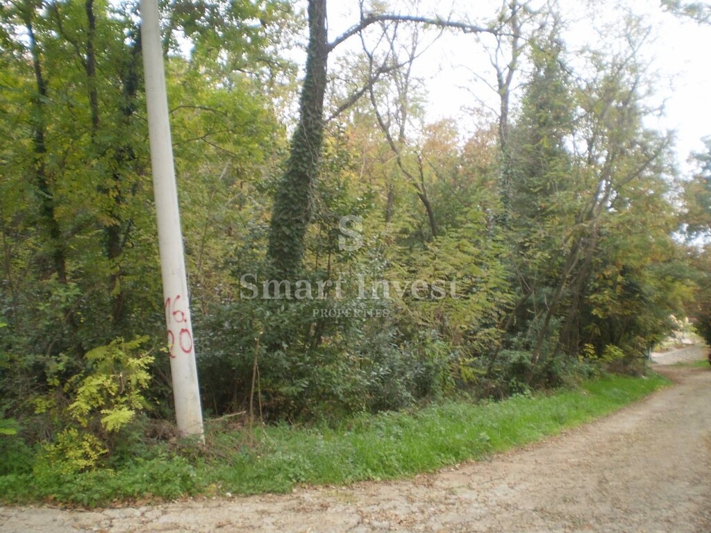 Image 6224659 - 4