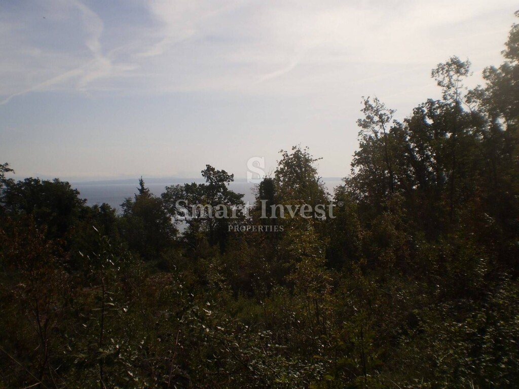 Image 6224659 - 1