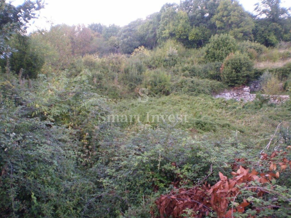 Image 6224665 - 9