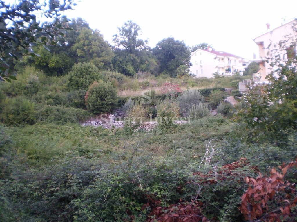 Image 6224665 - 10