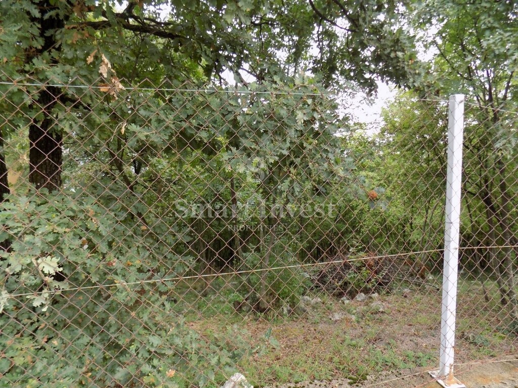 Image 6224667 - 2