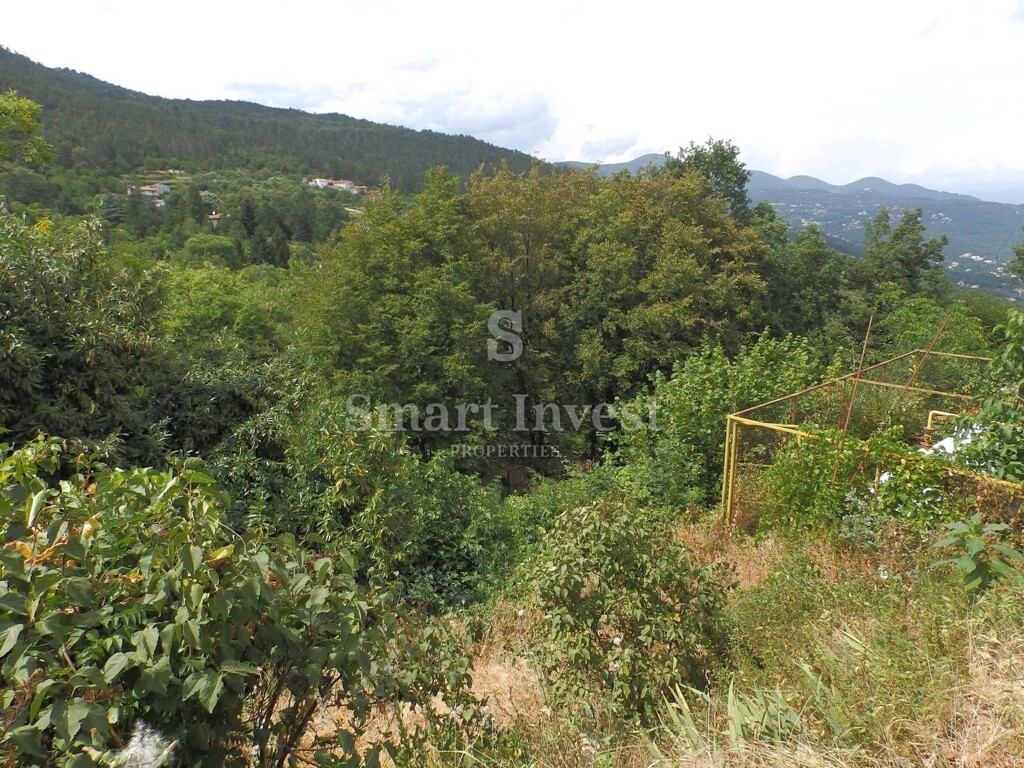 Image 6224669 - 1