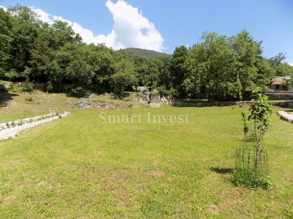 Image 6224672 - 4