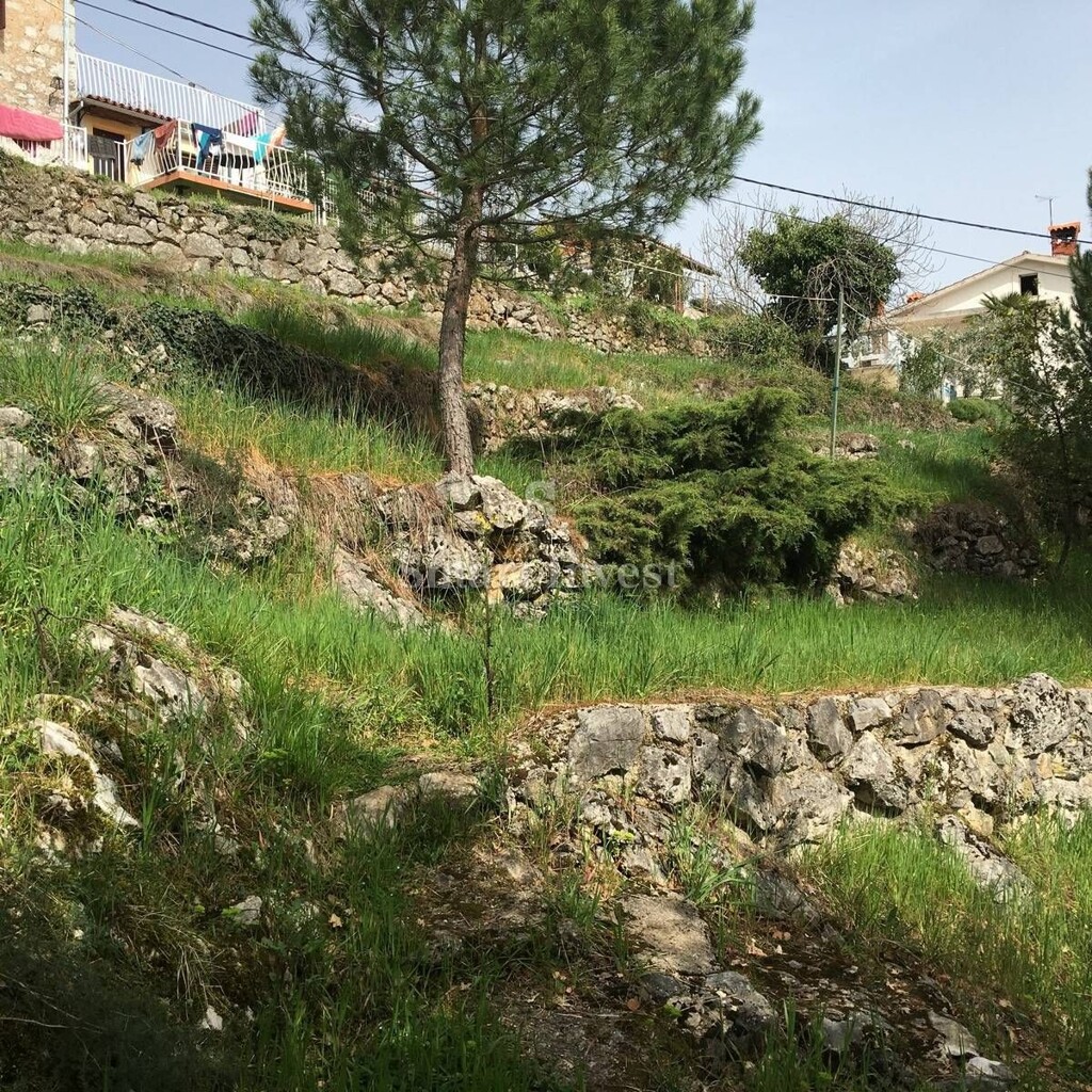 Image 6224674 - 5